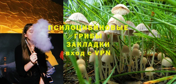 трава Армянск